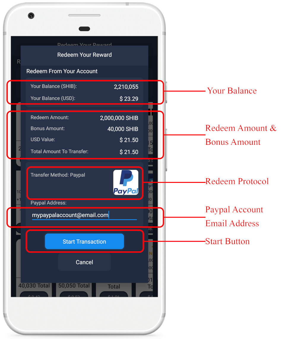 Withdraw Step 3 - Paypal Details